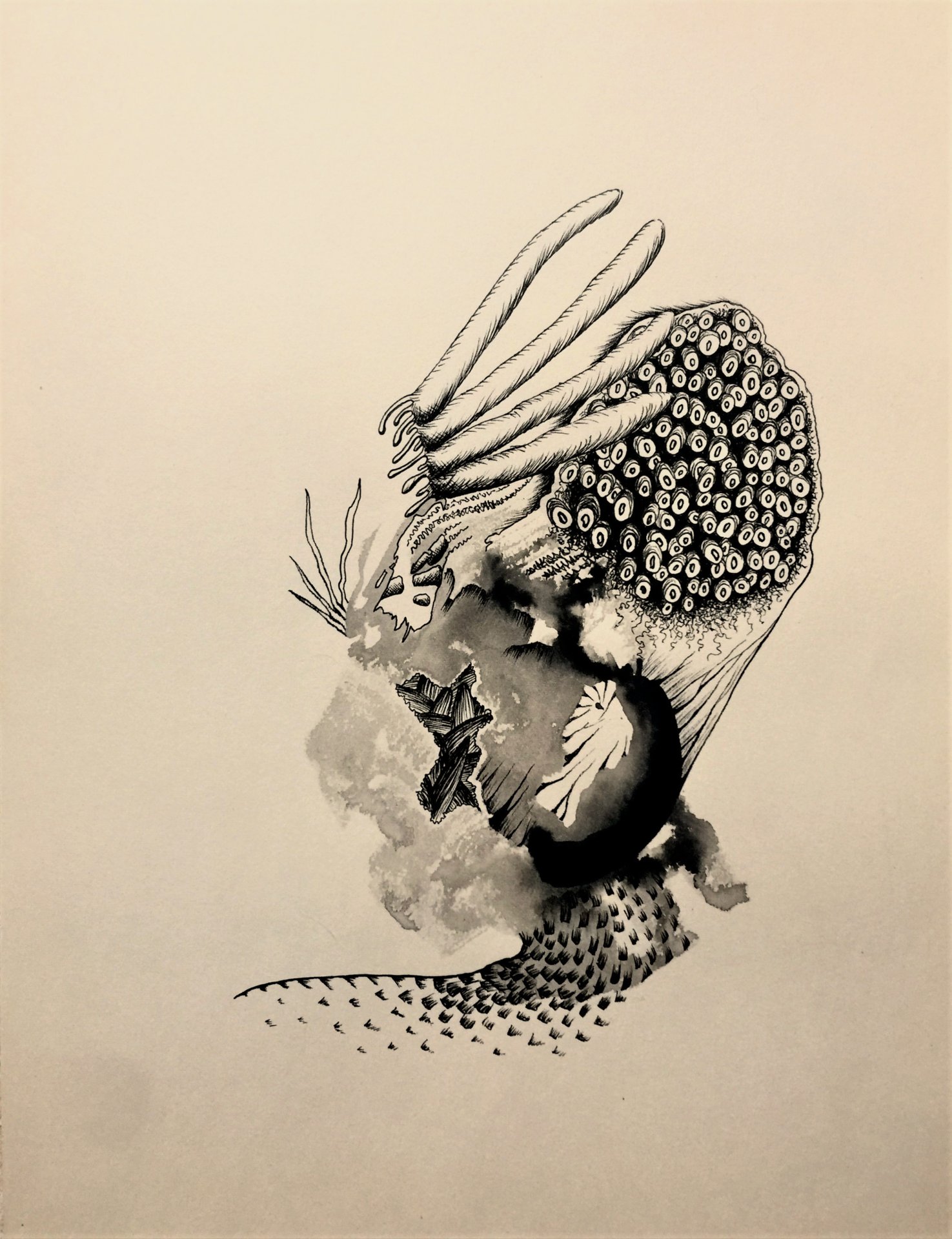 Apparition I